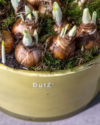 DutZ Kom Cilinder | Okergeel | H13 x D25 cm