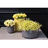 Kom Cilinder | Taupe 2.0 | H13 x D25 cm