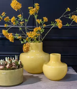 DutZ Vaas 702A | Okergeel | 2 Maten!