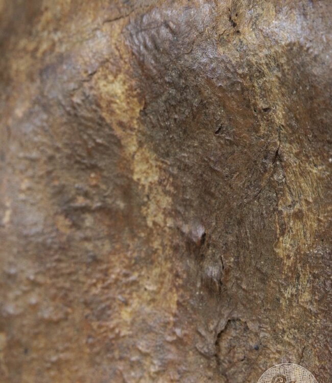 Be-Uniq Antieke desert pot | leder