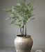 Be-Uniq Oude pot | China | H58 cm