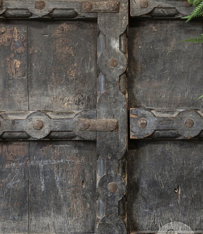 Be-Uniq Oude deur | India H159xB78xD5 cm