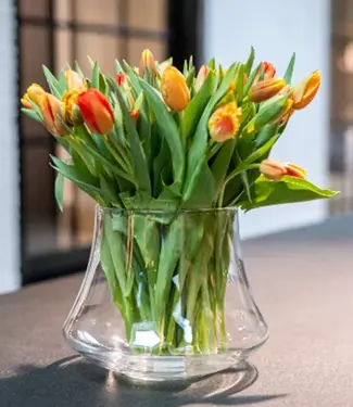 DutZ Pot Radu | Helder | H22 x D28 cm