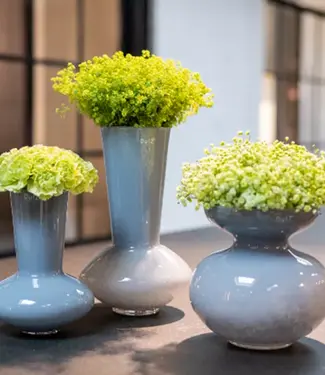 DutZ Vaas Loflo | Nevel | 2 Maten!