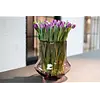 Vaas Bara | Aubergine Transparant | H30 x D30 cm