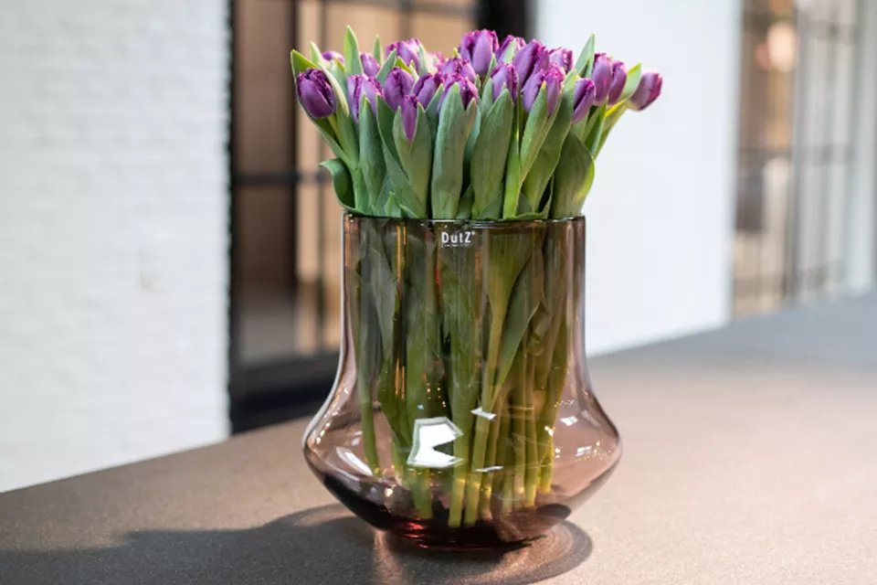 DutZ Vaas Bara | Aubergine Transparant | H30 x D30 cm