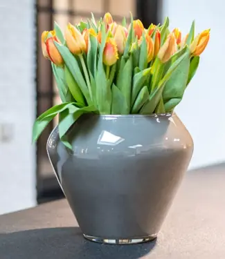 DutZ Vaas Zorba | Taupe 2.0 | H25 x D30 cm