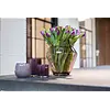 Vaas Zorba | Aubergine Transparant | H25 x D30 cm