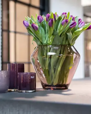 DutZ Vaas Zorba | Aubergine Transparant | H25 x D30 cm