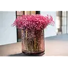 Vaas Robin | Aubergine Transparant | H30 x D28 cm