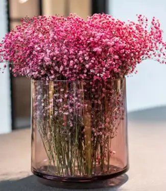 DutZ Vaas Robin | Aubergine Transparant | H30 x D28 cm