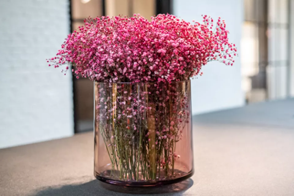 DutZ Vaas Robin | Aubergine Transparant | H30 x D28 cm