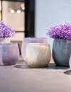 DutZ Pot | Oudpaars | 3 Maten