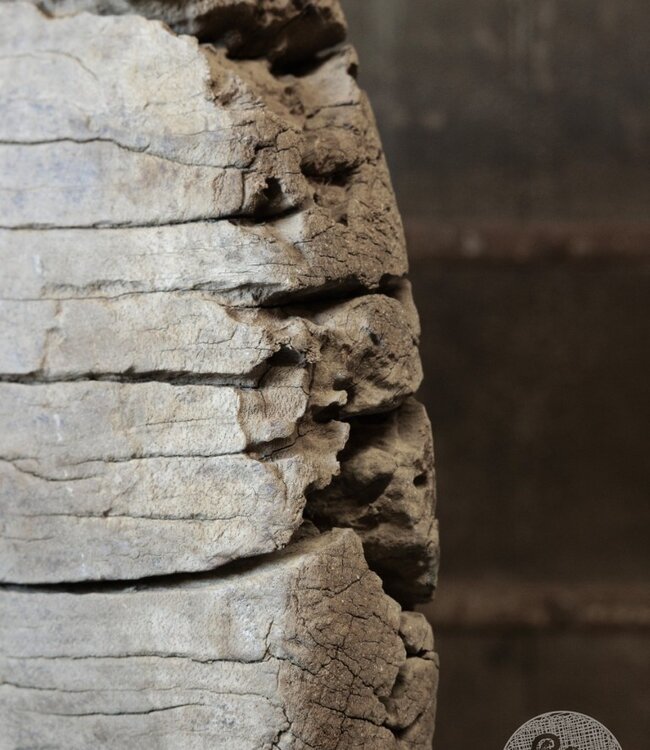 Be-Uniq Oud Wiel Op Standaard | H80 x B75 x D25 cm