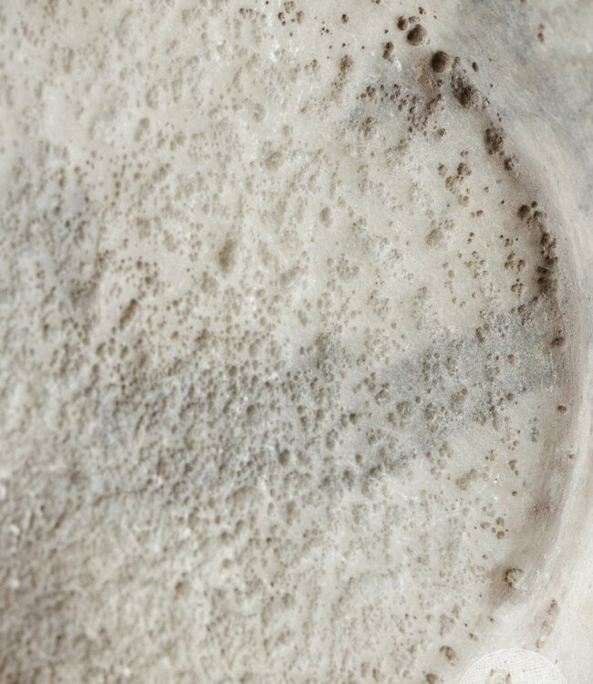 Be-Uniq Antieke Schaal Op Standaard | Marmer | H59 cm