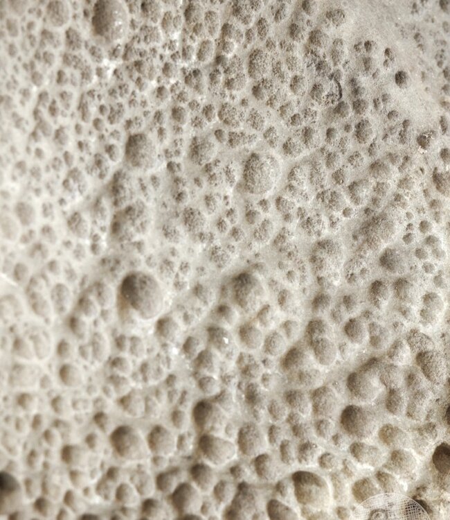 Be-Uniq Antieke Schaal Op Standaard | Marmer | H61 cm