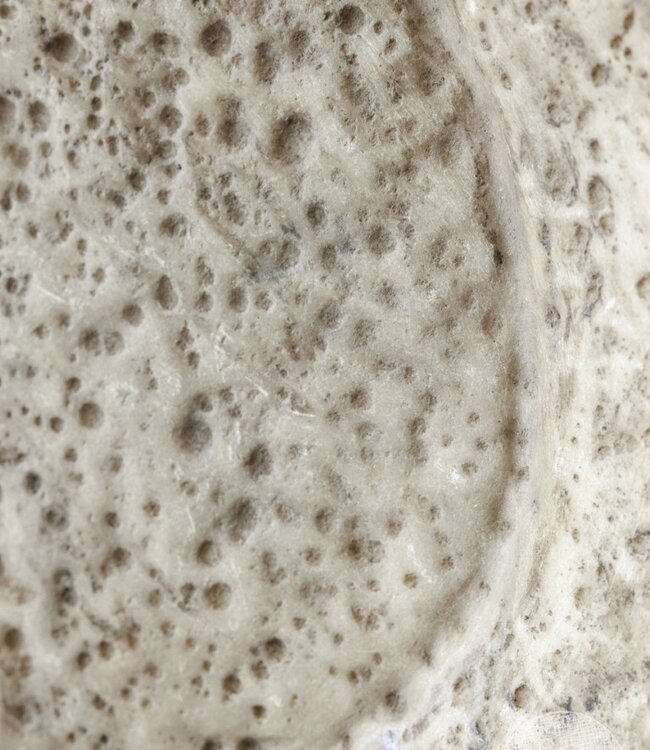 Be-Uniq Antieke Schaal Op Standaard | Marmer | H59 cm | Nr 2