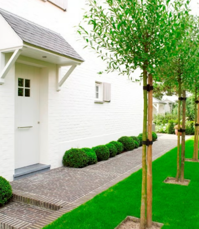 Dauby STUK DEURGREEP PPH WIT BRONS (WB) 350mm