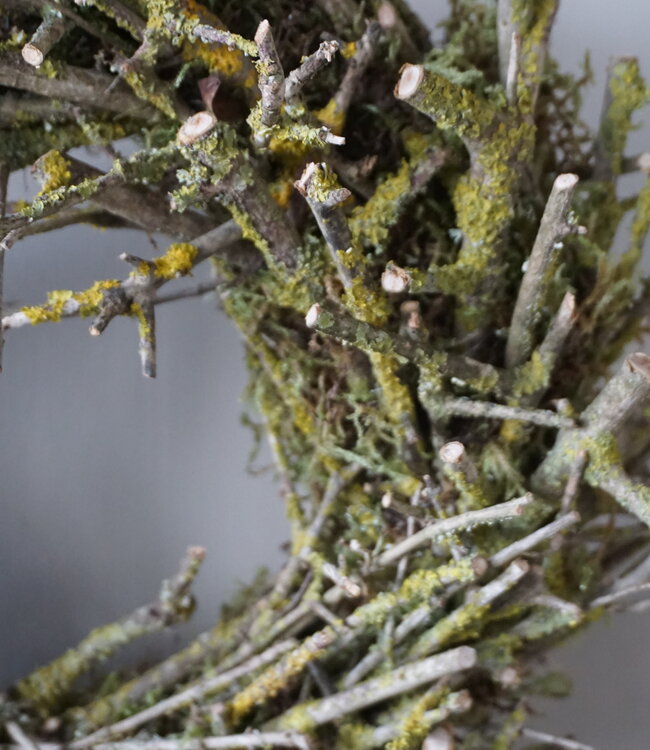 Rene Houtman Moskrans | Gele Takken | D30 cm