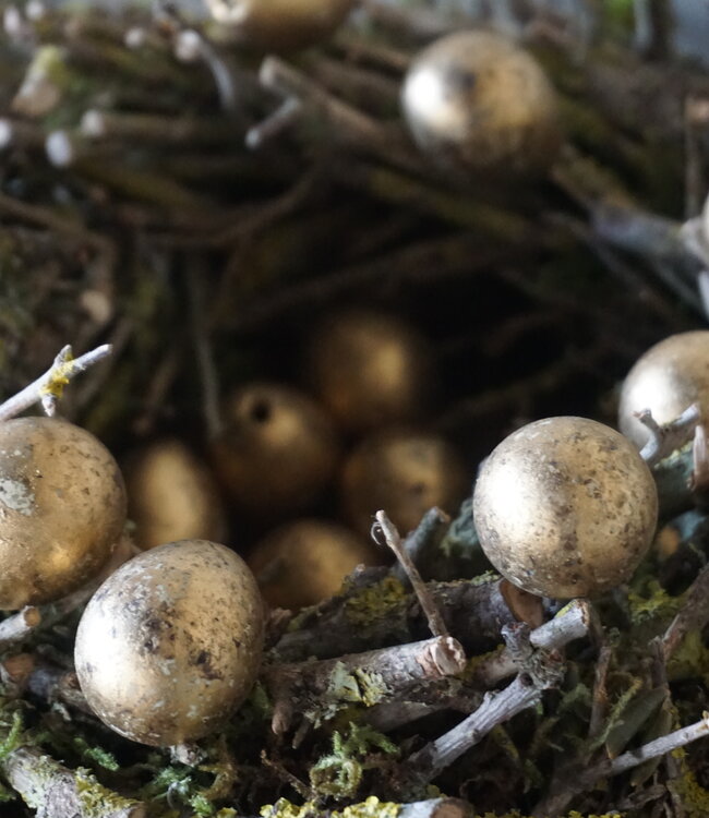 Rene Houtman Gouden Kwarteleieren | 60 Stuks