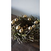 Gouden Kwarteleieren | 60 Stuks