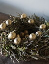 Rene Houtman Gouden Kwarteleieren | 60 Stuks