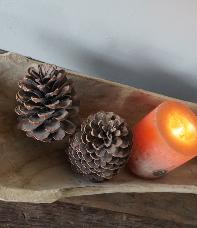 Rene Houtman Schaal | Teakhouten Boot | H10 x B71 x D22 cm