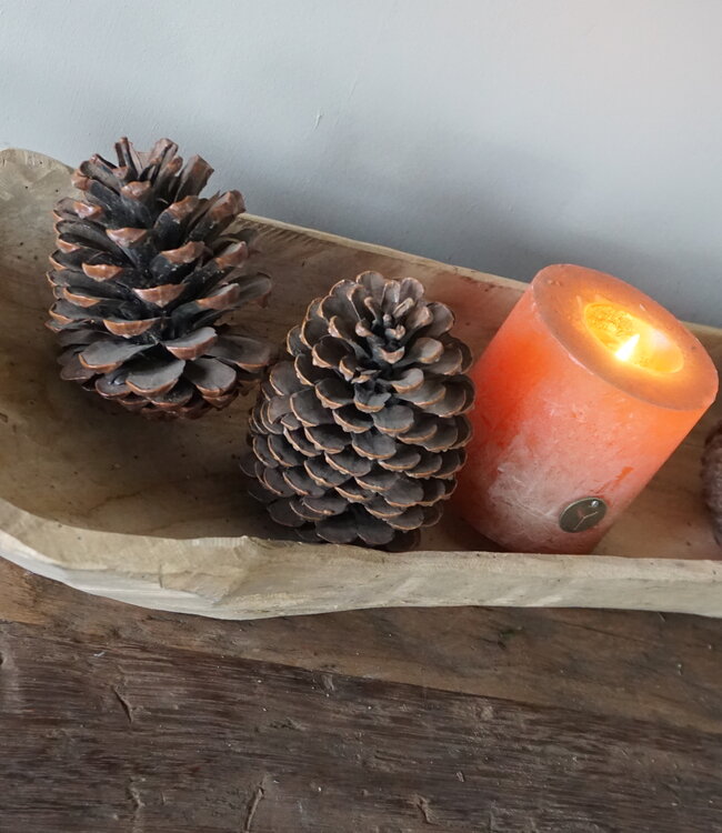 Rene Houtman Schaal | Teakhouten Boot | H10 x B71 x D22 cm