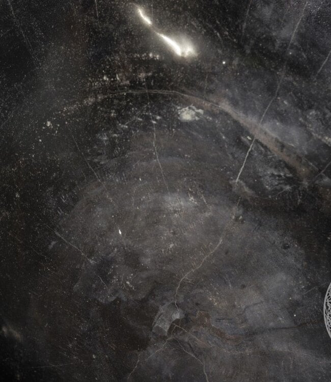 Be-Uniq Schaal | Versteend Hout | Indonesie | H15 x B37 x D33 cm