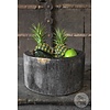 Schaal | Versteend Hout | Indonesie | H17 x D31 cm