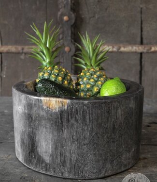 Be-Uniq Schaal | Versteend Hout | Indonesie | H17 x D31 cm