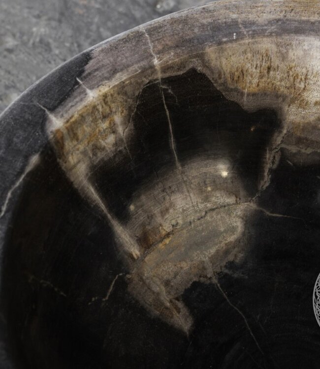 Be-Uniq Schaal | Versteend Hout | Indonesie | H17 x D31 cm