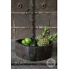 Schaal | Versteend Hout | Indonesie | H13 x B38 x D33 cm