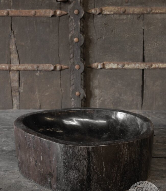 Be-Uniq Schaal | Versteend Hout | Indonesie | H13 x B38 x D33 cm