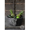 Schaal | Versteend Hout | Indonesie | H15 x B36 x D34 cm