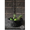 Schaal | Versteend Hout | Indonesie | H14 x B38 x D34 cm