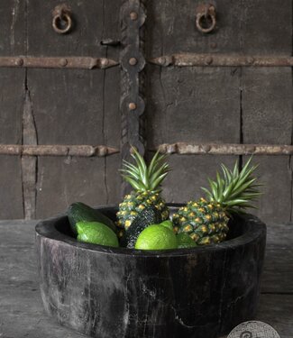 Be-Uniq Schaal | Versteend Hout | Indonesie | H14 x B38 x D34 cm