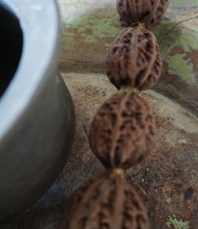 Be-Uniq Kleurrijke Kaligrafeerkwast | Bruin | 34 cm