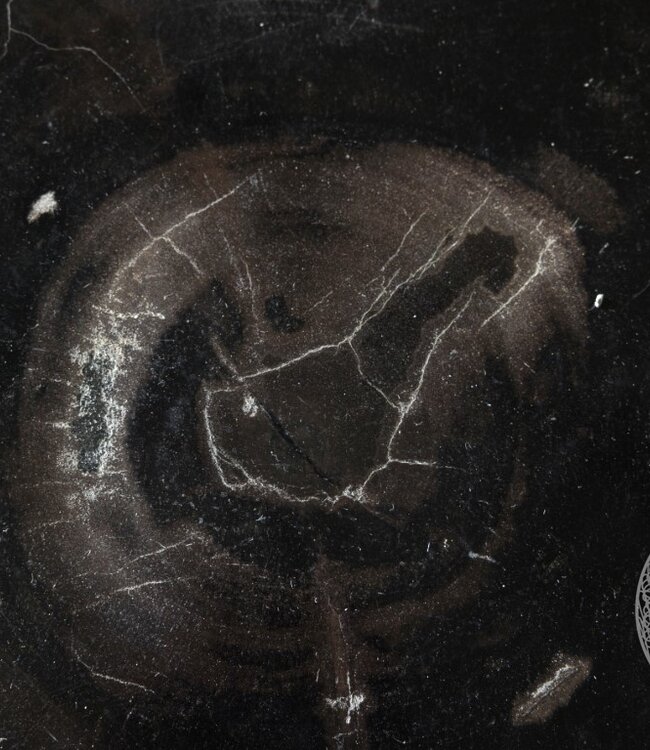 Be-Uniq Schijf Versteend Hout | Indonesie | D26 x H7 cm