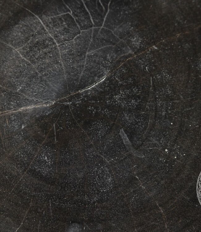 Be-Uniq Schijf Versteend Hout | Indonesie | D25 x H6 cm