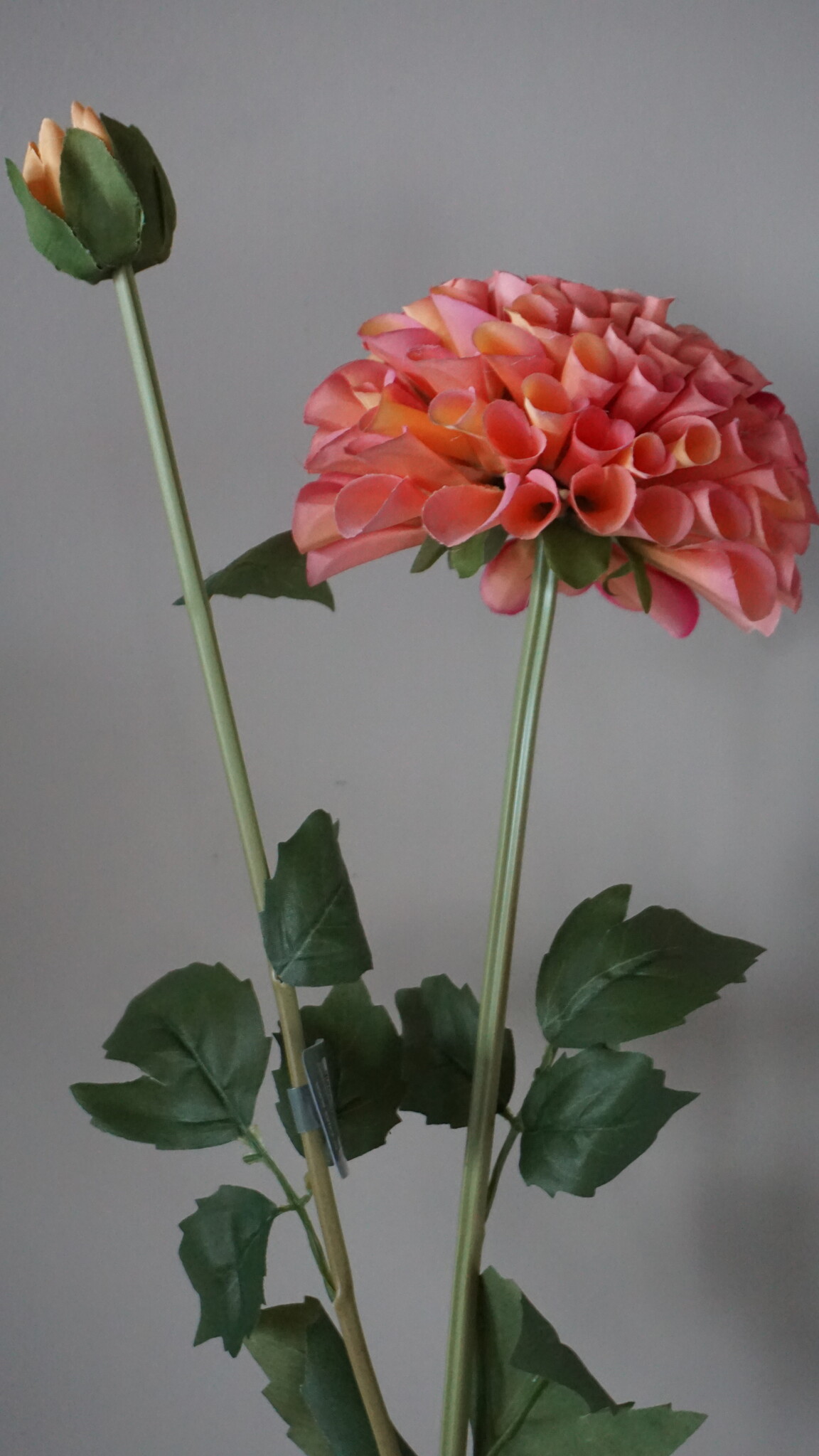 Brynxz Dahlia Kunstbloem | Oranje | L74 cm