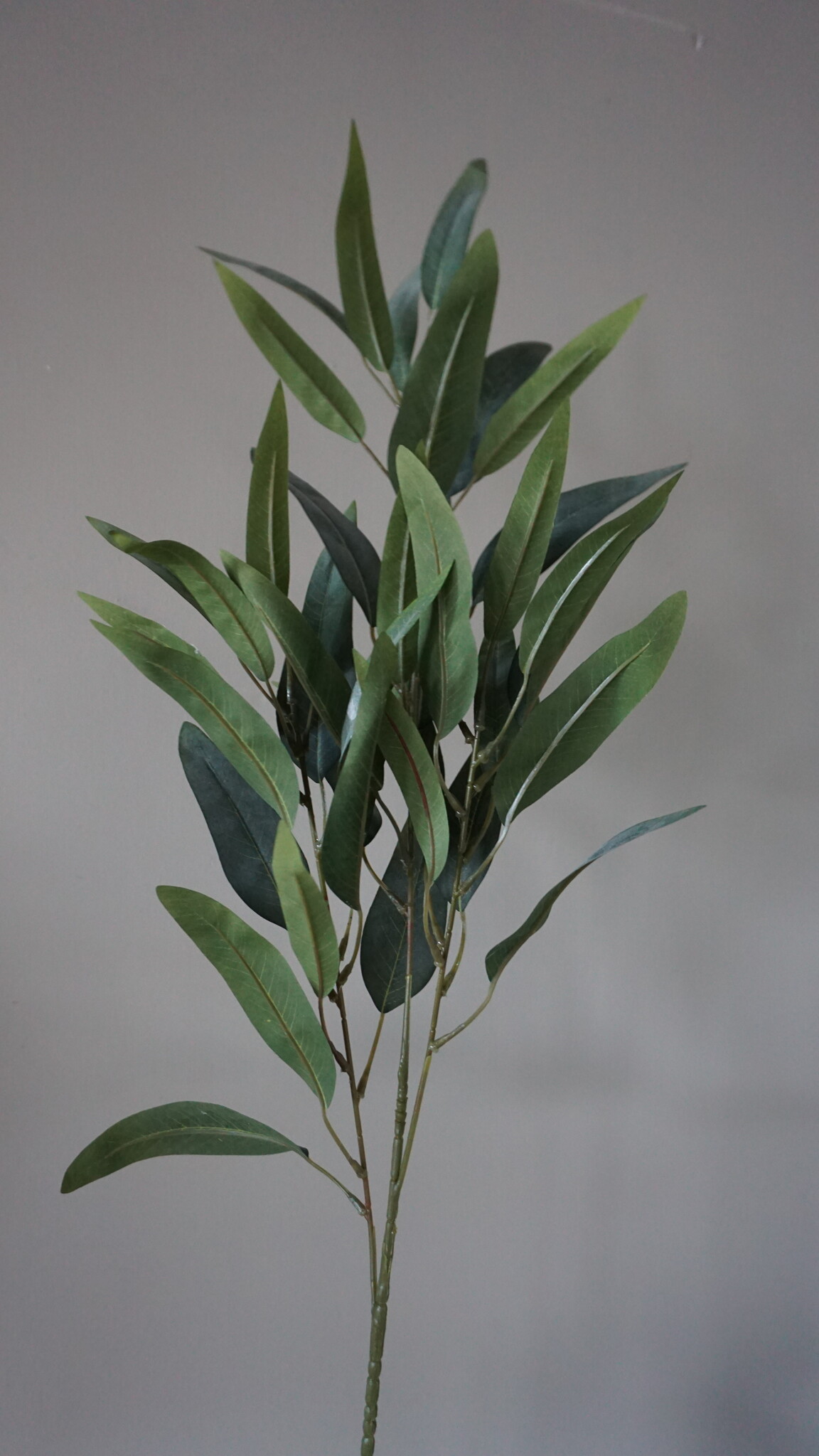 Brynxz Mangoblad Kunstplant | Grijs/Groen | L88 cm