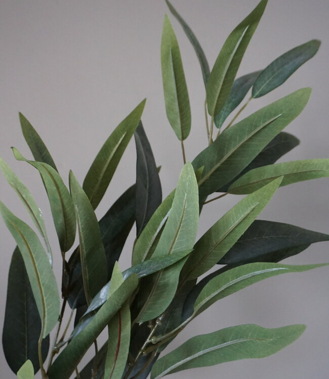 Brynxz Mangoblad Kunstplant | Grijs/Groen | L88 cm