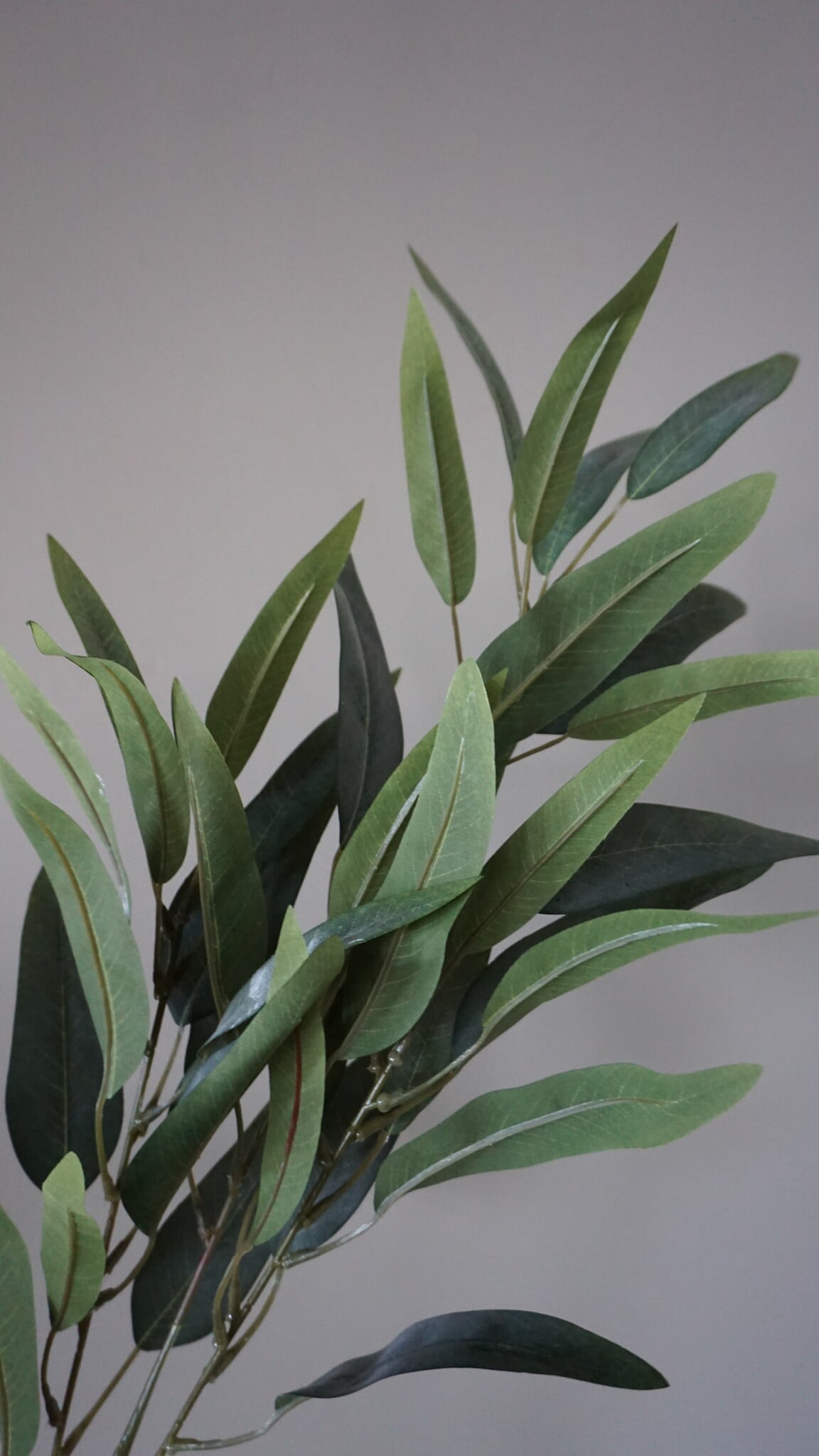 Brynxz Mangoblad Kunstplant | Grijs/Groen | L88 cm