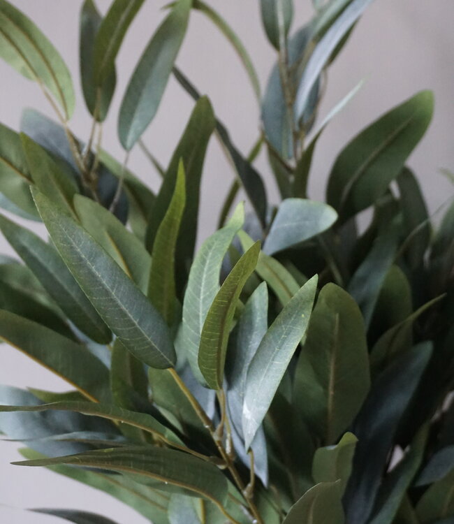 Brynxz Mangoblad Kunstplant | Grijs/Groen | L88 cm