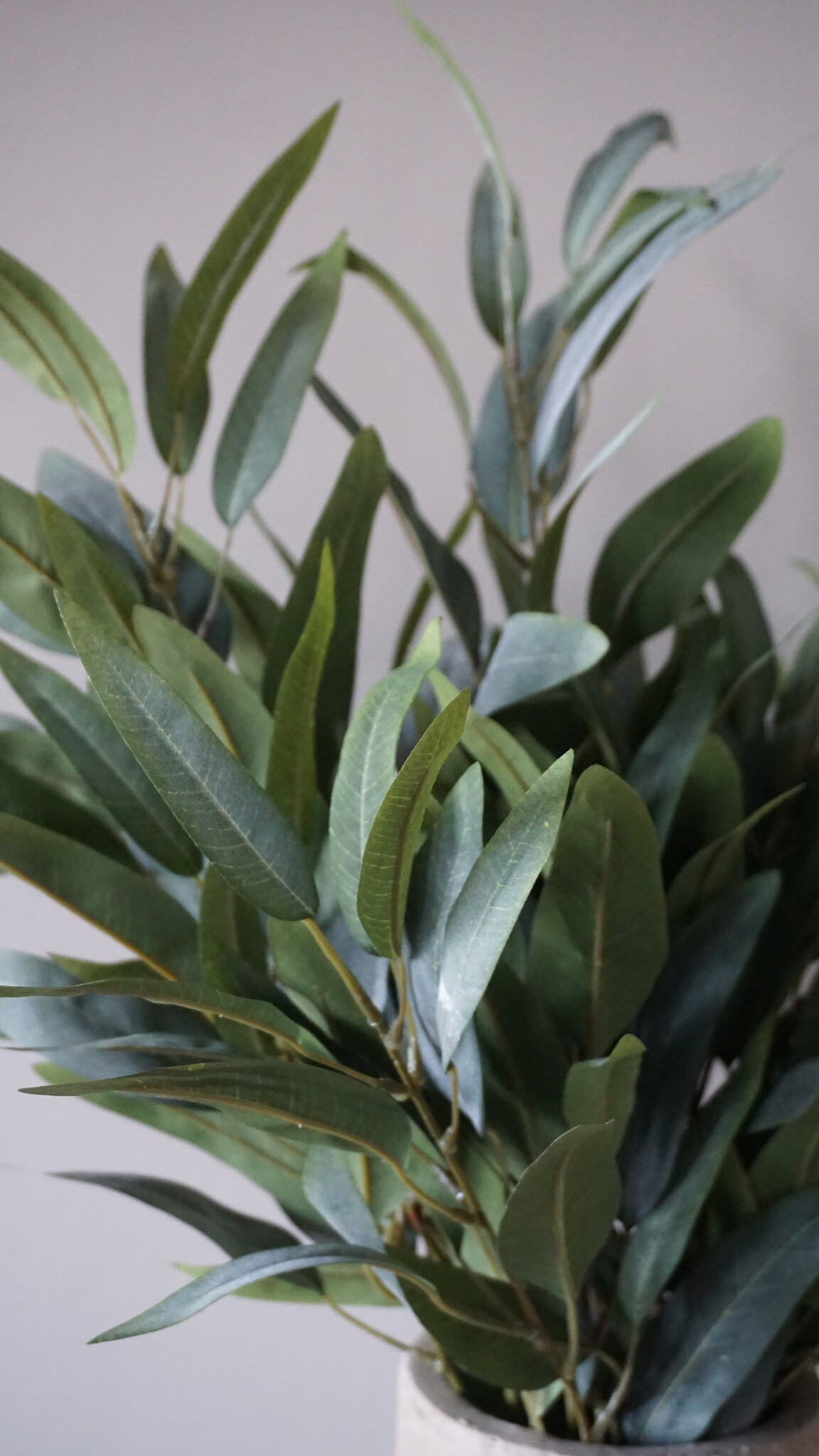 Brynxz Mangoblad Kunstplant | Grijs/Groen | L88 cm