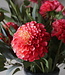 Brynxz Dahlia Kunstbloem | Roze | L74 cm