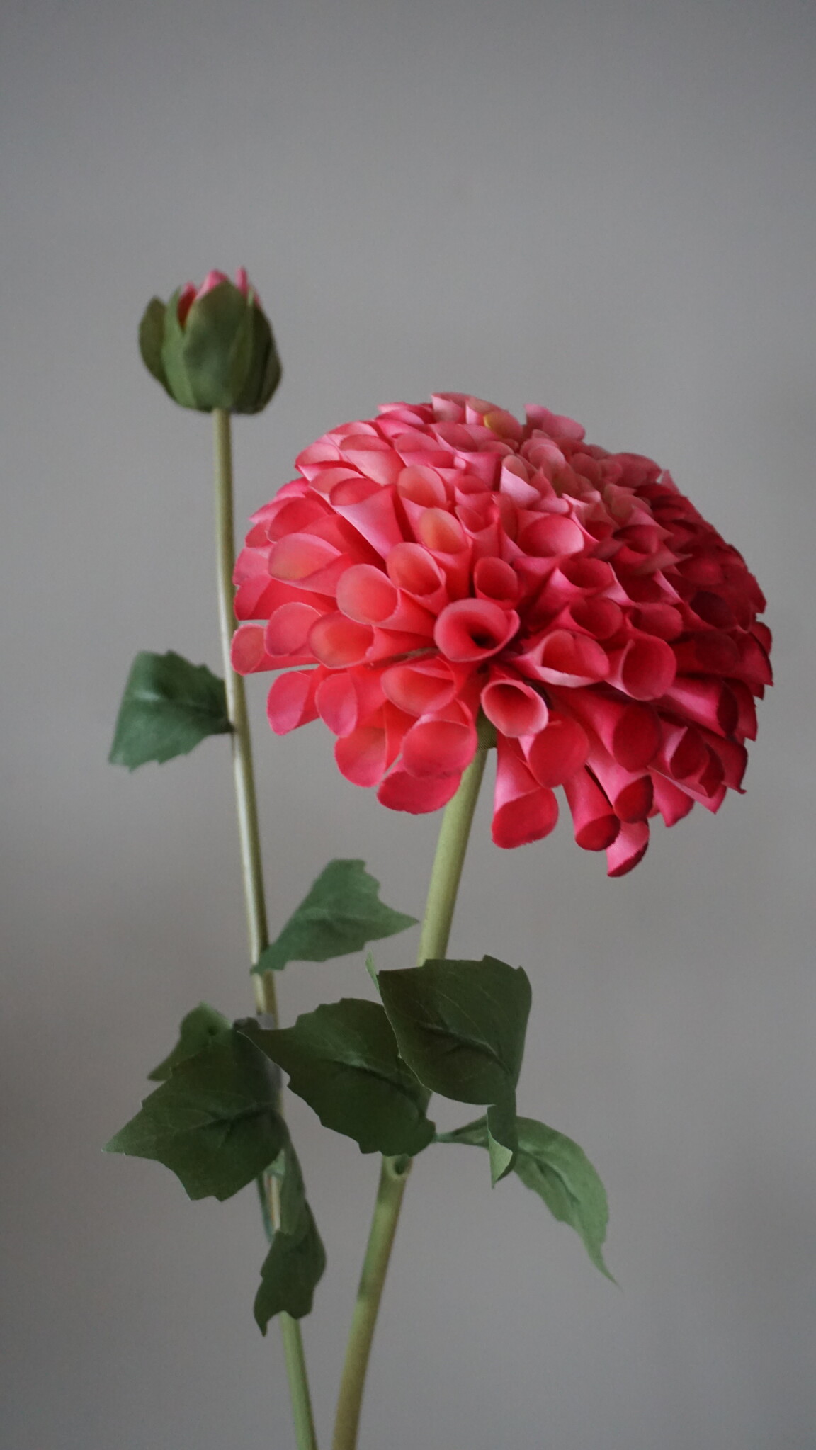 Brynxz Dahlia Kunstbloem | Roze | L74 cm