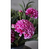 Dahlia Kunstbloem | Paars | L74 cm