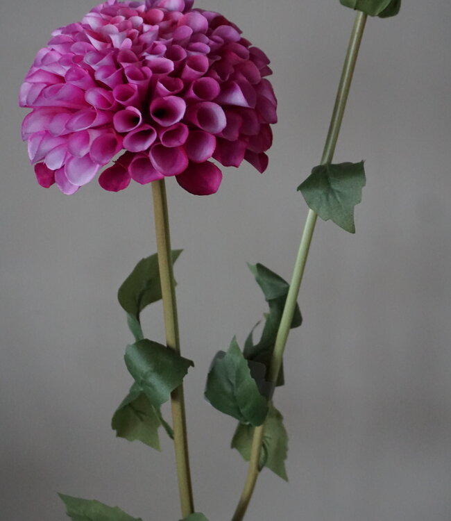 Brynxz Dahlia Kunstbloem | Paars | L74 cm